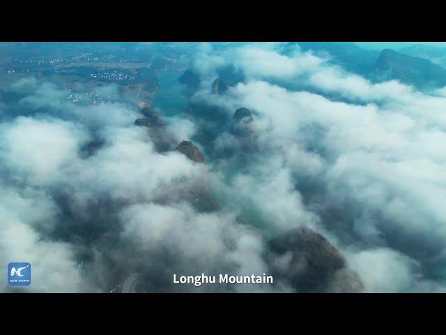 "Legendary" birds in Taoist mountain