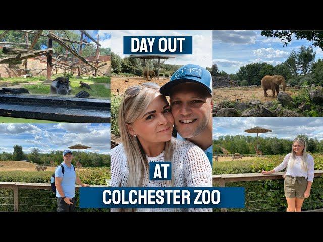 OUR DAY AT COLCHESTER ZOO -  Ellie's birthday & seeing all the animals we should of seen on Safari