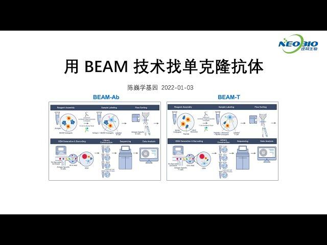 【陈巍学基因】第100期：用BEAM技术找单克隆抗体