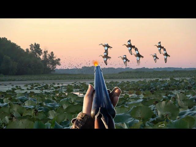 Duck Hunting 2023! Iowa Early Teal 3 MAN LIMIT with MASSIVE FLOCKS OF TEAL!