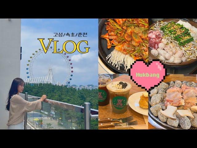 [강원도 Vlog #2] 여름이라 식욕 없어진 줄 알았는데.. | 낙지철판볶음 | 맥반석닭갈비 | 대창전골 | 춘천 베이크포레스트