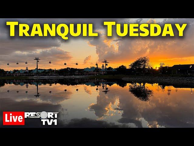 Live: Tranquil Tuesday - Disney Skyliner Resort Hopping - Walt Disney World Live Stream - 5-20-25