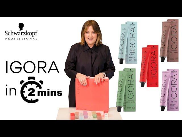 Learn the Schwarzkopf Professional IGORA product range in under 2 minutes!