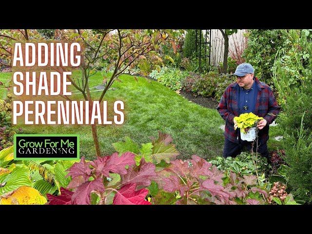 Adding Perennials for Shade  Sharing Some Beautiful Fall Color