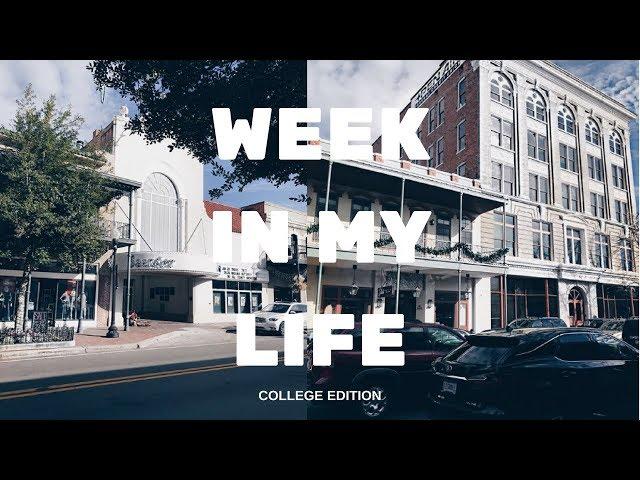 college week in my life | @ uwf