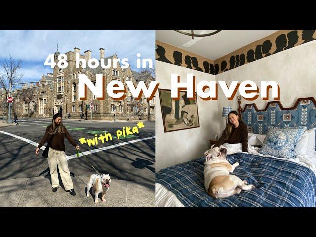 A Weekend in New Haven, CT | eating a lot of pizza , Italian food, and hotel time with the pup