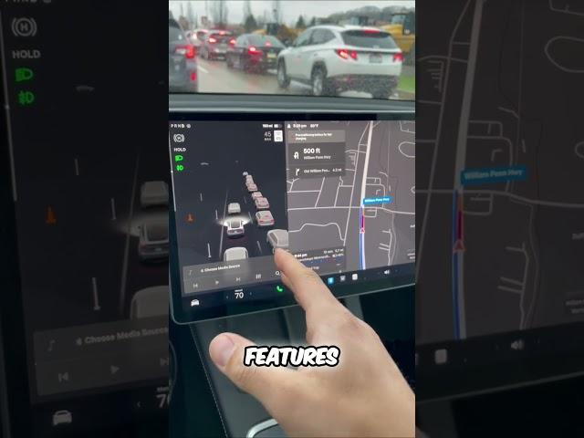 Amazing Tesla Feature You MUST Try! ️