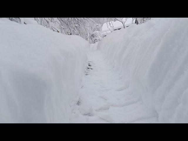 Snježna Apokalipsa u gornjoj Višnjici,bez struje 4 dana.