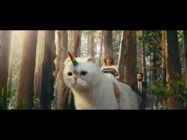 Taylor Swift's Caticorn Adventure