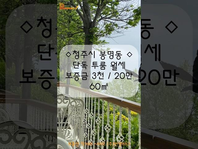 청주시 흥덕구 봉명동 단독주택 투룸 월세