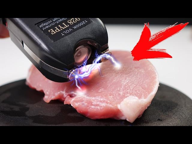 I CAN Taser roast meat?! DO NOT REPEAT !