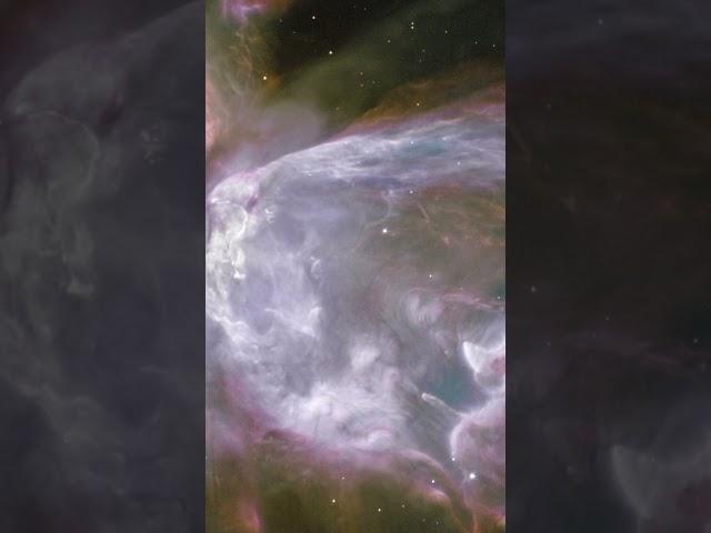 Butterfly Nebula - Hubble Space Telescope #shorts