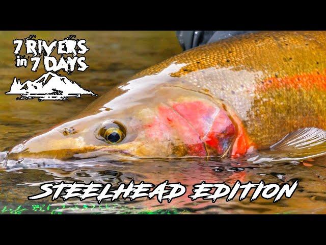 Fishing 7 Rivers In 7 Days - STEELHEAD EDITION - 7 Day Challenge Official Movie