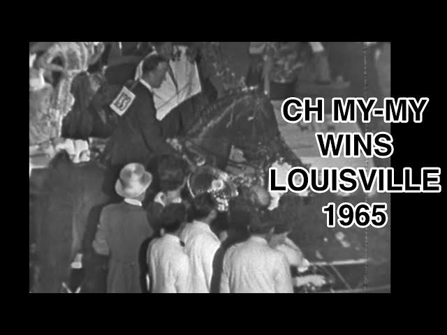 1965 Kentucky State Fair World's Championship Horse Show (CH My-My)