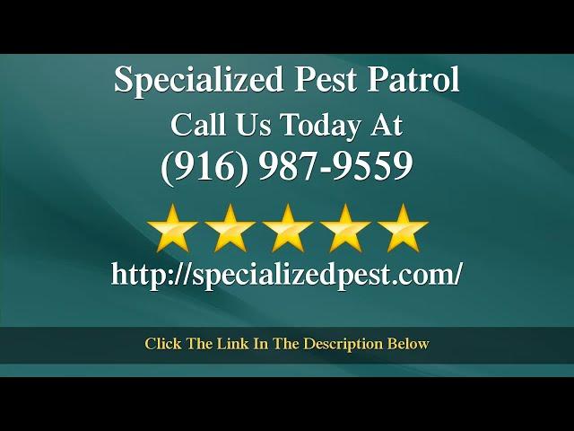 Specialized Pest Patrol Folsom Remarkable Five Star Review by Ashley