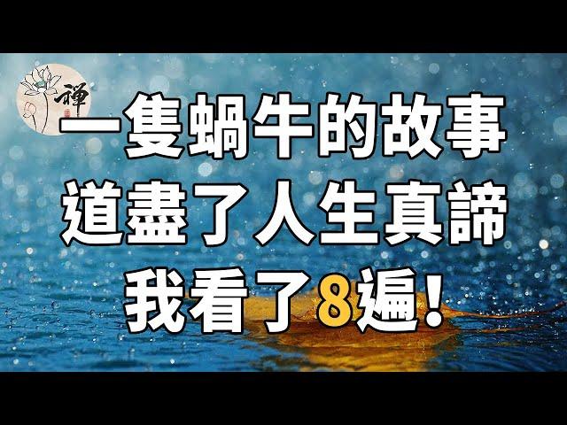 佛禪：一隻蝸牛的故事，道盡了人生真諦，看完久久不能平靜