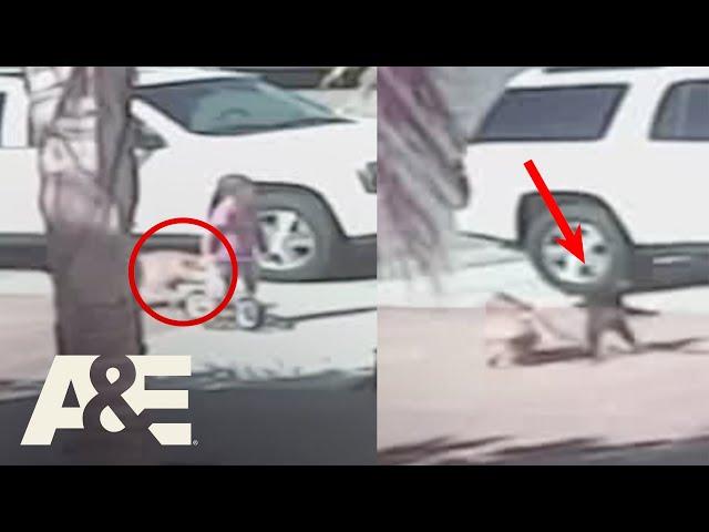 Watch This Cat RESCUE A CHILD From Dog Attack | An Animal Saved My Life | A&E #shorts