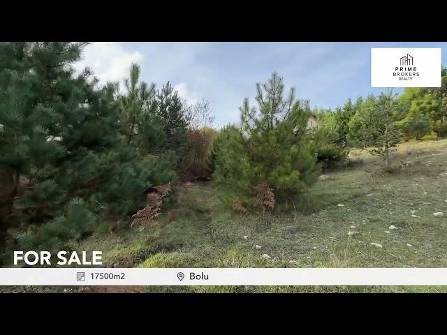 Bolu Turizm İmarlı Arsa ve Tesis