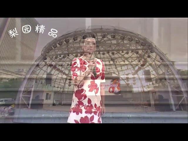 曲剧《李祥和的婚事》夜深深静悄悄油灯闪闪，刘艳丽【梨园春】