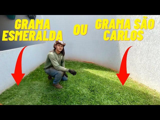 Grama esmeralda ou Grama São Carlos, Qual você prefere ?