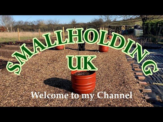 Introduction to my smallholding - homesteading -  self-sufficiency - Smallholding UK