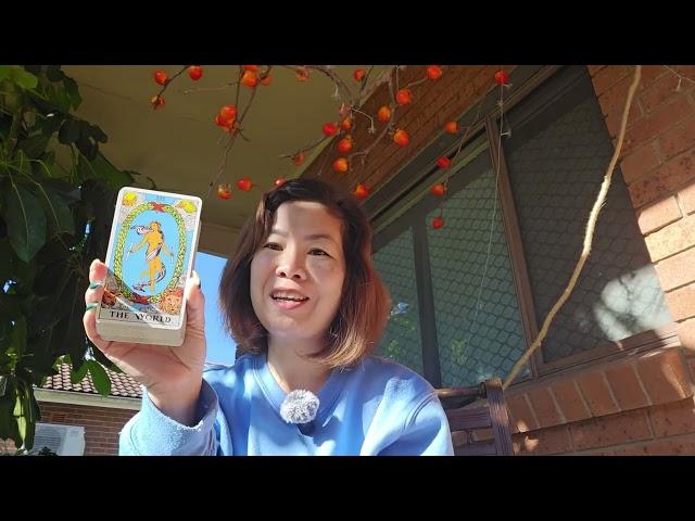 Thông điêp Gia Tiên gửi đến Bạn/Magic #tarot #soultalkbychloe #dearChloe