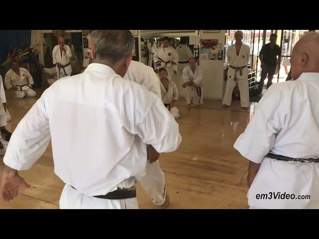 TAK KUBOTA 2019 Seminar - Kata, Kumite & Kubotan