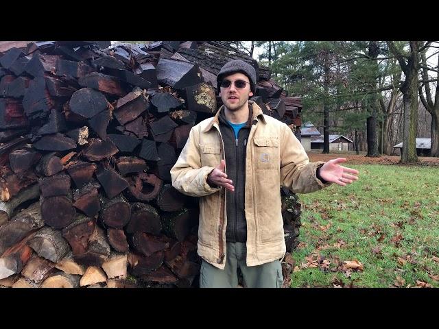 Top 10 hottest burning firewoods