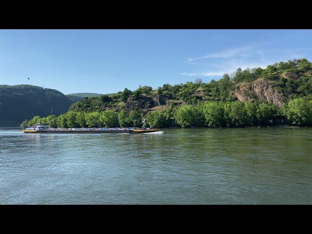 Mittelrheintal - Tankmotorschiff Adrian auf dem Rhein bei Boppard | Juni 2021