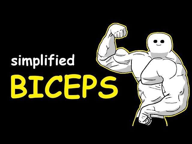 Bodybuilding Simplified: Biceps