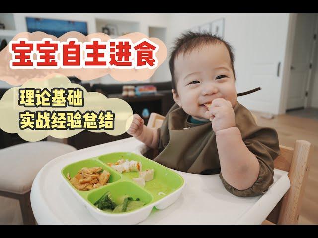 【自主进食超全攻略】一开始如何添加辅食？呛到？一直扔食物？怎么排敏？过敏了？六月龄饭霸养成日记