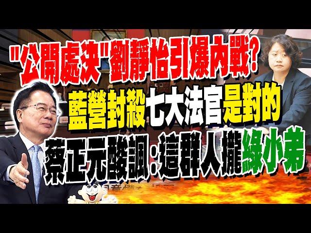 公開處決劉靜怡掀"綠內戰"? 蔡正元:七名大法官攏"小弟"...大讚國民黨"反對票"是對的!