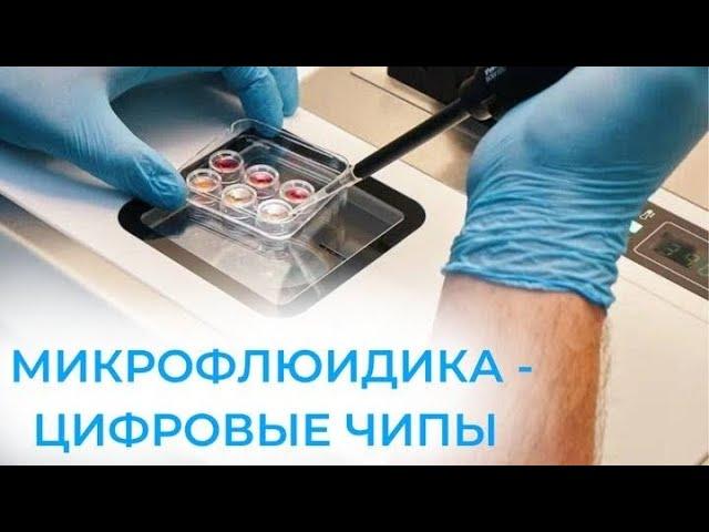Микрофлюидика и цифровые чипы против классического сбора эякулянта в отделении эмбриологии Клиники+1
