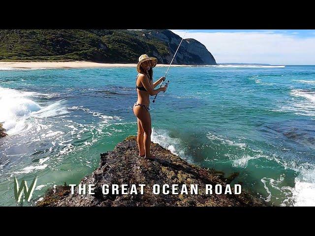 WE DIDN'T THINK IT COULD GET ANY BETTER!! The Great Ocean Road pt.2.