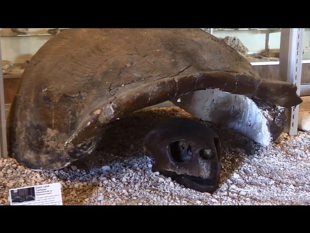 Children's Museum in Central Florida - Mulberry Phosphate Museum