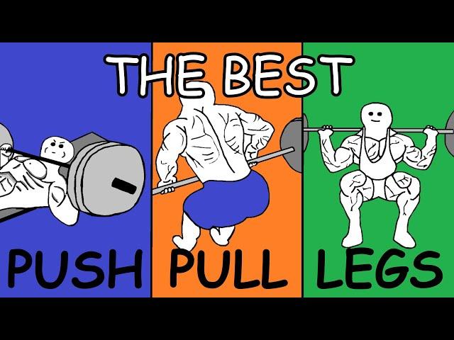 Bodybuilding Simplified: Push Pull Legs (Full Explanation + Free Training Plan)