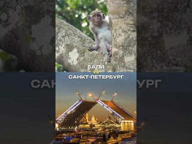 Бали или Санкт-Петербург? А вообще идеальных мест не бывает)