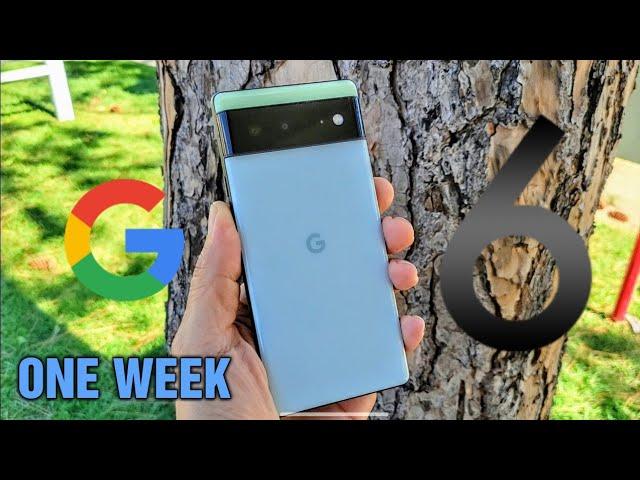 My Week with the Google Pixel 6 | The Good and the Bad