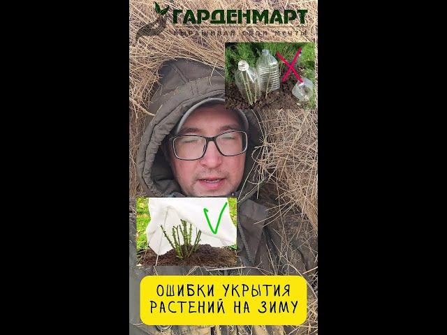 Чем можно укрывать растения?