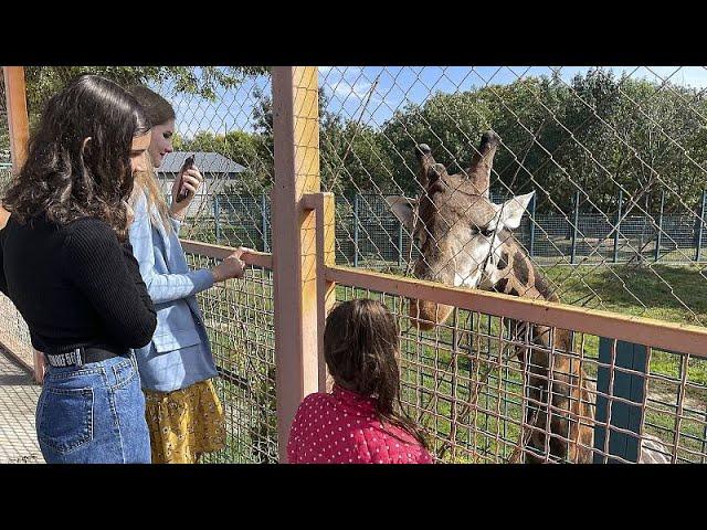 Mykolaiv zoo: Life carries on in war-torn Ukraine