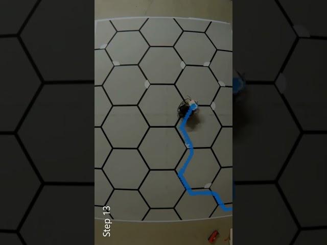 Human like brain helps robot out of maze  @TechUnited