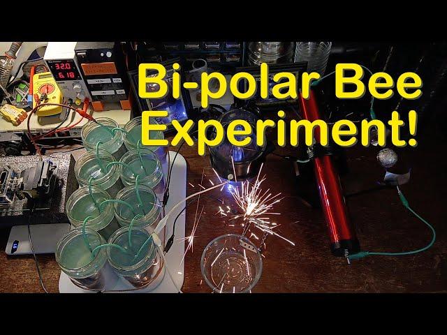 "Bi-polar Bee" + A Thank You + Kickstarter Celebration!