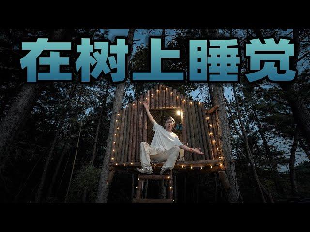 在树上造个小木屋过夜是什么体验？半夜时树林里总有莫名其妙的怪声！