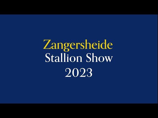 Hengstenpresentatie Stoeterij Zangersheide 2023