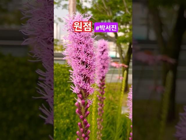 원점 · 박서진 구독&좋아요 #스타일스타 #shorts #현역가왕2