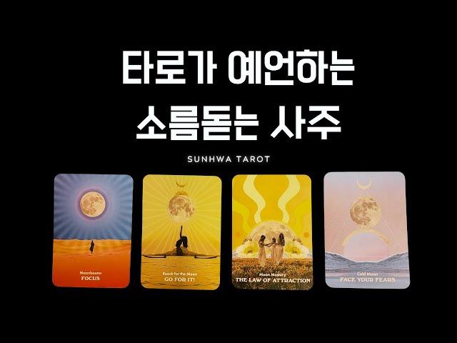 [타로I예언] 타로가 예언하는 당신의 사주
