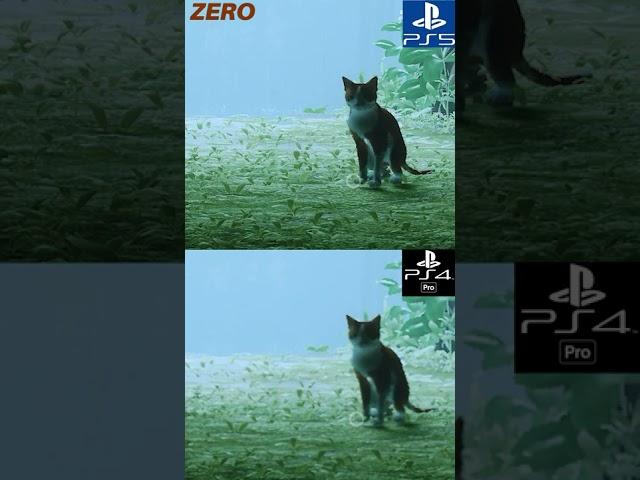 STRAY | PS4 Pro - PS5 | Graphics Comparison | 4K | #shorts