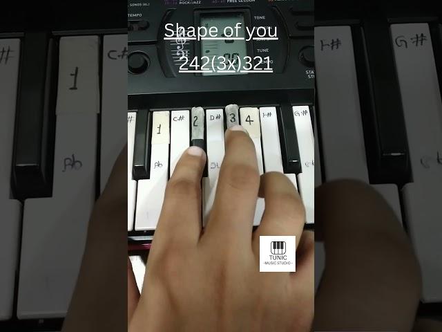 Shape of you (Piano Tutorial) | Tunic Music Studio | #tiktok #shorts  #piano #trending #viral