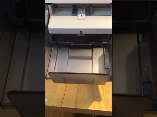 Full colour printed labels 