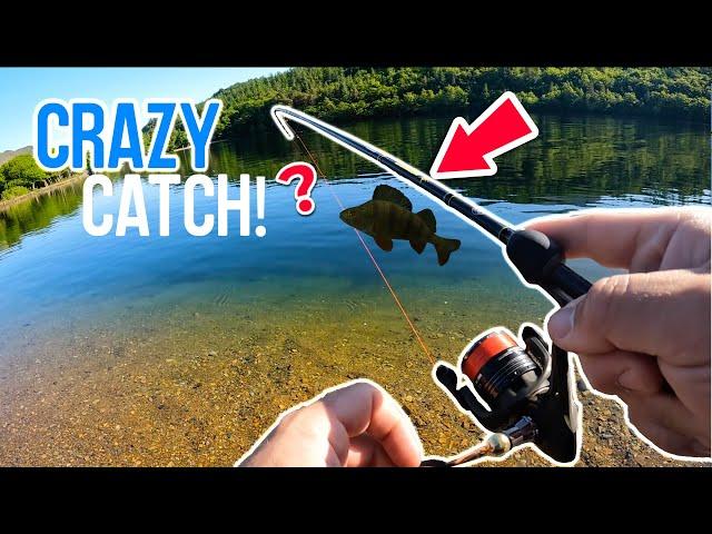 CRAZY ONE IN A MILION CATCH WHILE PERCH FISHING! Lake District Lure Fishing